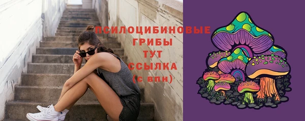 тгк Хадыженск